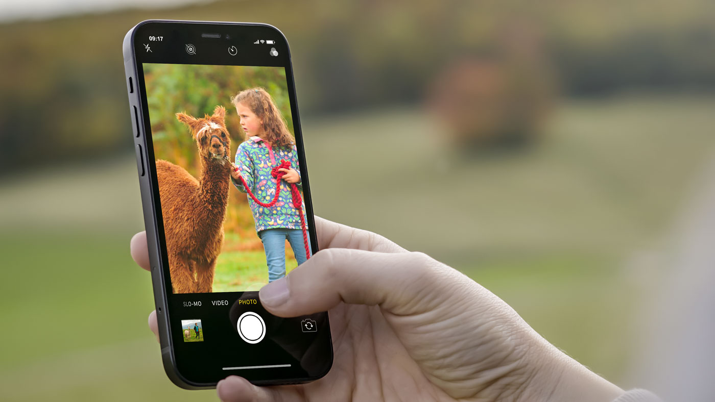 Closeup showing someone taking a photo of a young child with an alpaca 